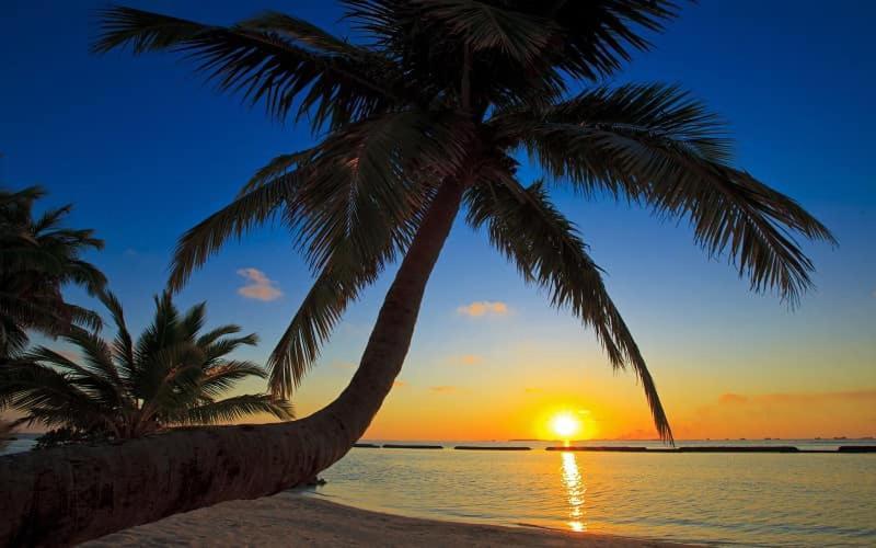 Elene Phu Quoc Hotel Екстериор снимка